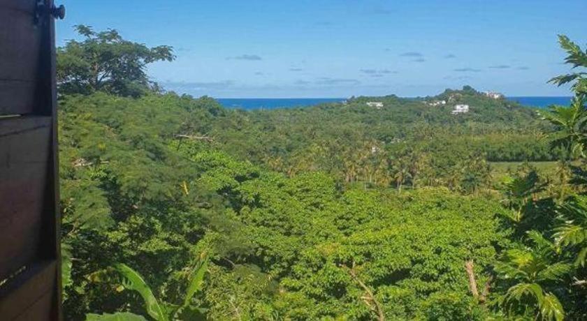 Bamboojam Villa Las Terrenas Eksteriør billede