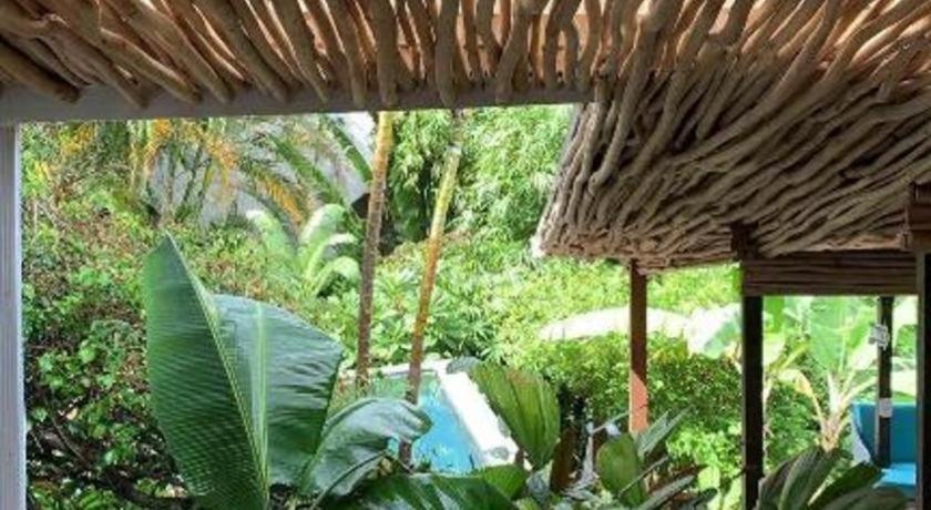 Bamboojam Villa Las Terrenas Eksteriør billede